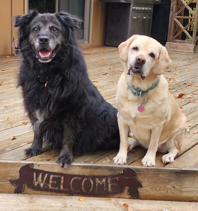 The Integrative Veterinary Clinic 12