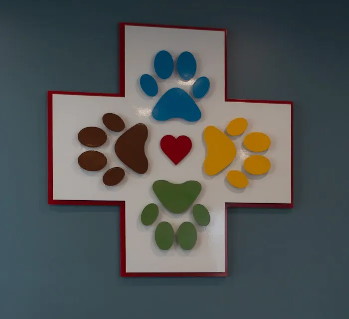 The Integrative Veterinary Clinic 12