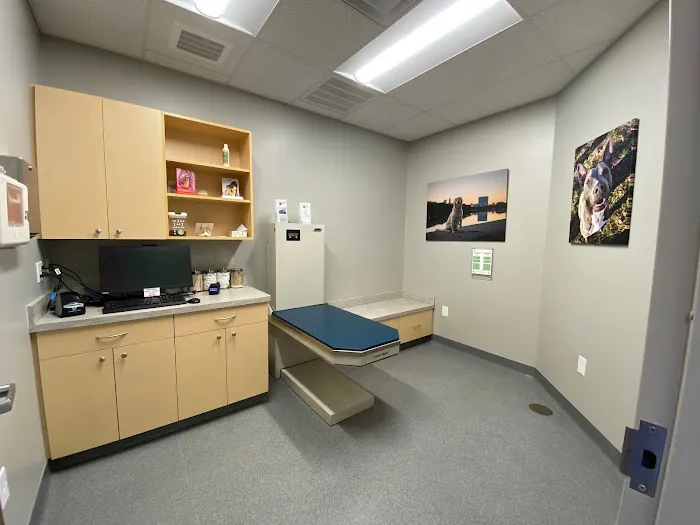 Springmill Pet Wellness Clinic 1