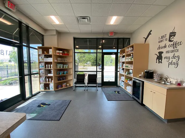 Springmill Pet Wellness Clinic 4