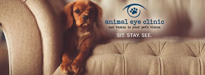 Animal Eye Clinic 12