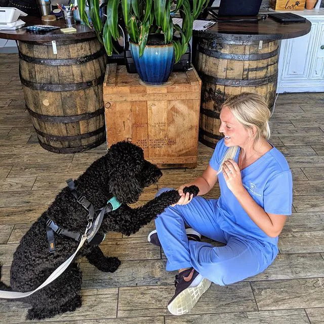 Animal Eye Clinic 12