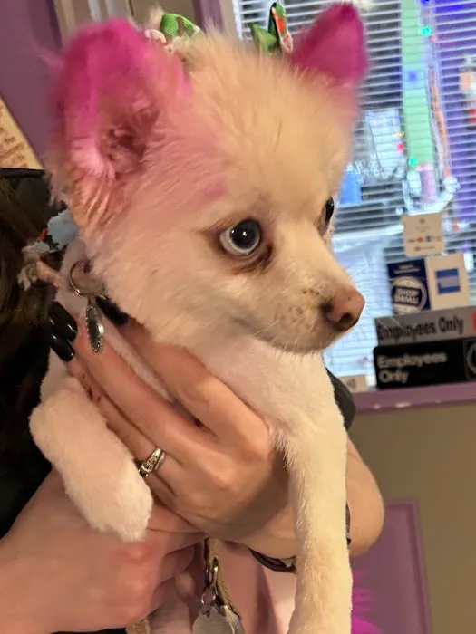 Banfield Pet Hospital 12