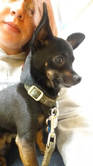 Banfield Pet Hospital 12