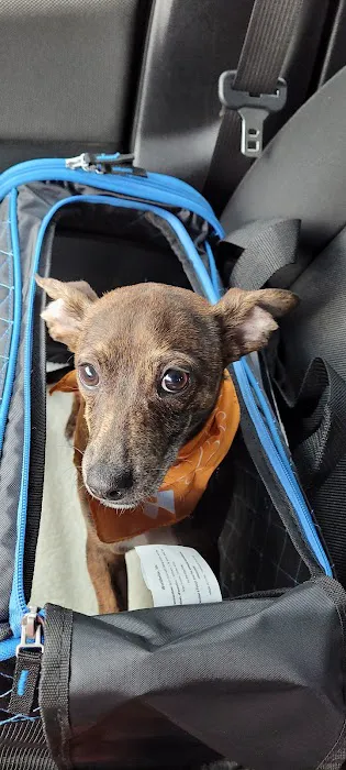 Banfield Pet Hospital 12