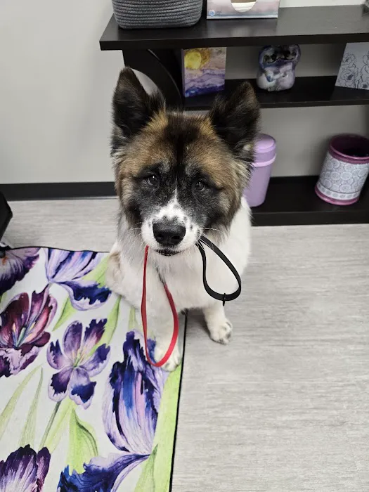 PetVet365 Pet Hospital Indianapolis / Cool Creek 4