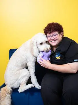 PetVet365 Pet Hospital Indianapolis / Cool Creek 7