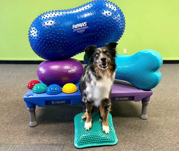 Indy Pet Core 12