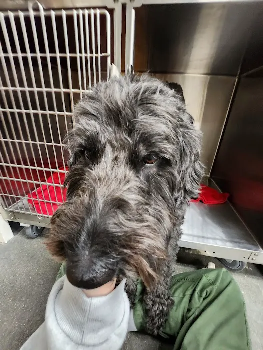 Vetco Total Care Animal Hospital 12