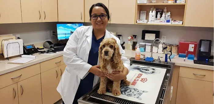 Zionsville Pet Wellness Clinic 12