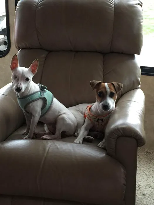 VCA Eagle Park Animal Hospital 12
