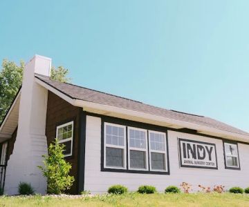 Indy Animal Surgery Center