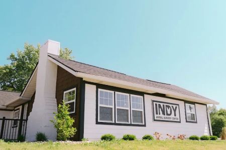 Indy Animal Surgery Center