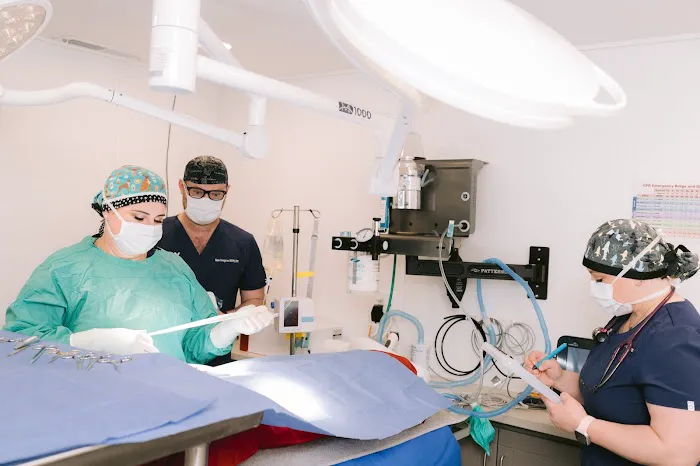 Indy Animal Surgery Center 12