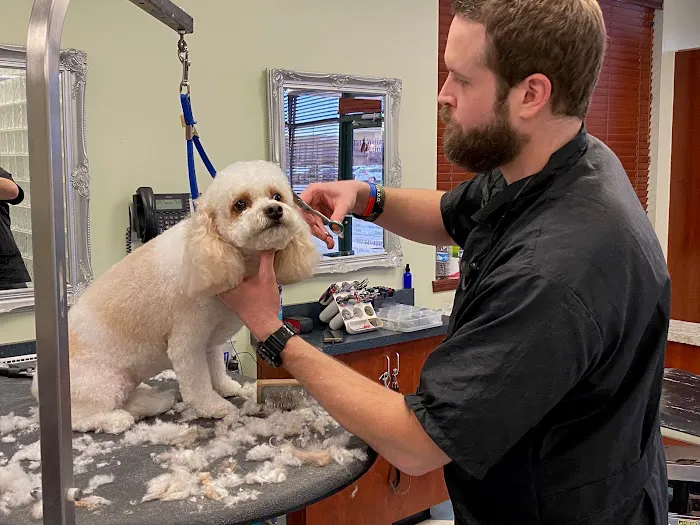 Bridgeview Pet Wellness Clinic 3