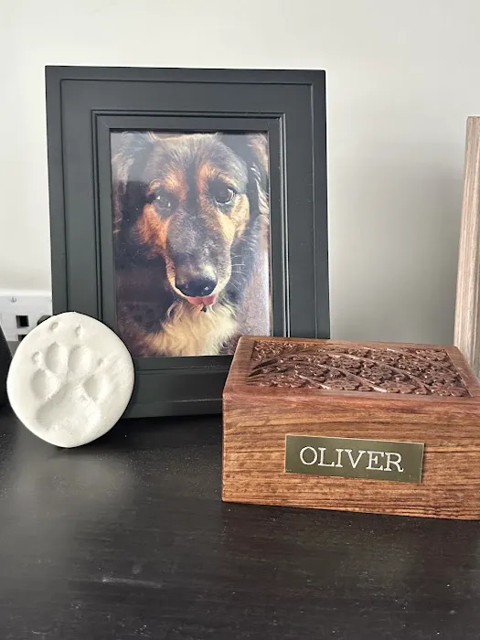 Bridgeview Pet Wellness Clinic 10
