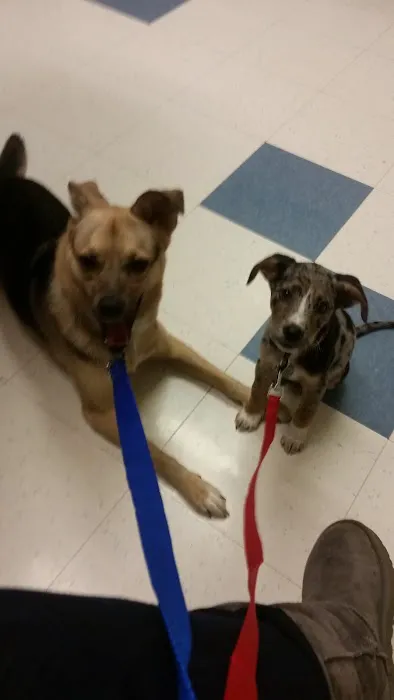 Bridgeview Pet Wellness Clinic 8