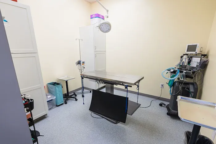VetCheck Pet Urgent Care Center - Indianapolis 6