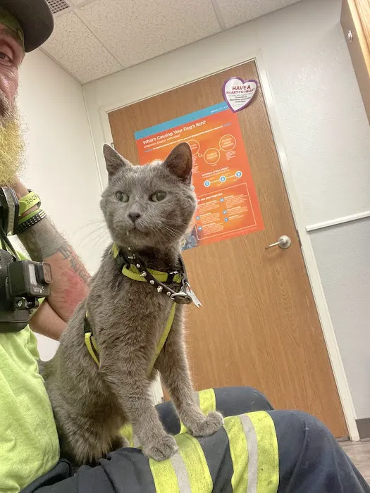 Animal Hospital of Martinsville 1