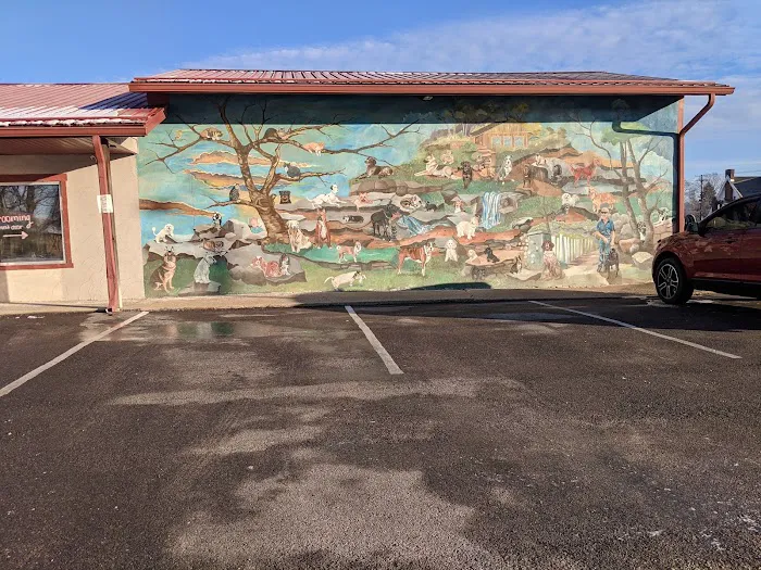 Animal Hospital of Martinsville 9