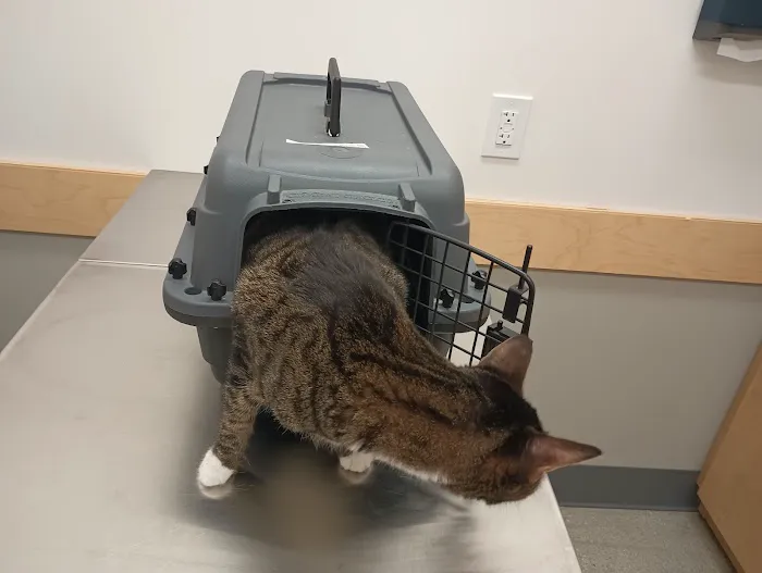 Arlington Heights Veterinary Hospital - North 12