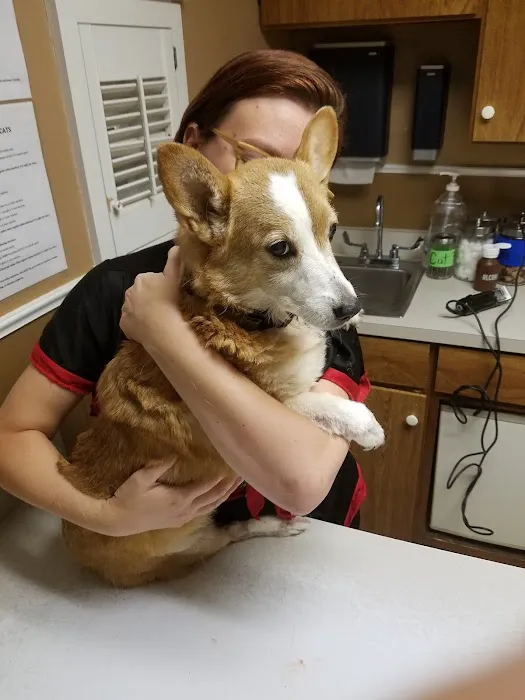 Arlington Heights Veterinary Hospital - North 12