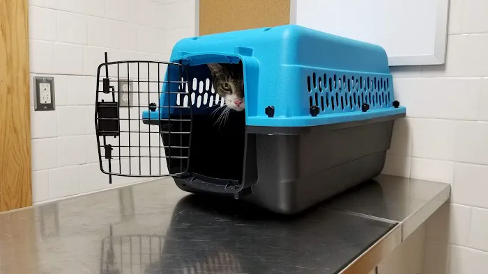Town & Country Veterinary Clinic 12