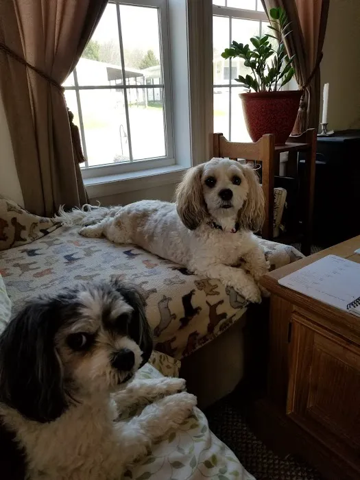 Noblesville Square Animal Clinic 12