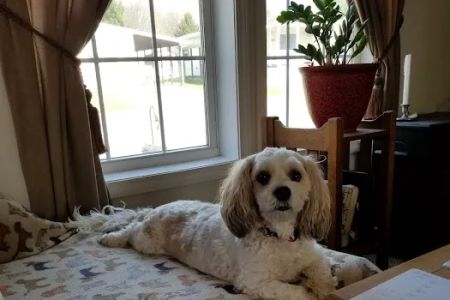 Noblesville Square Animal Clinic