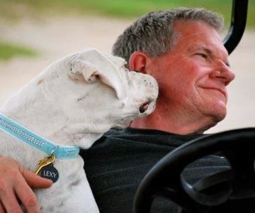 Noblesville Veterinary Clinic - Dr. Tim Fleck