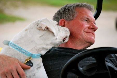 Noblesville Veterinary Clinic - Dr. Tim Fleck