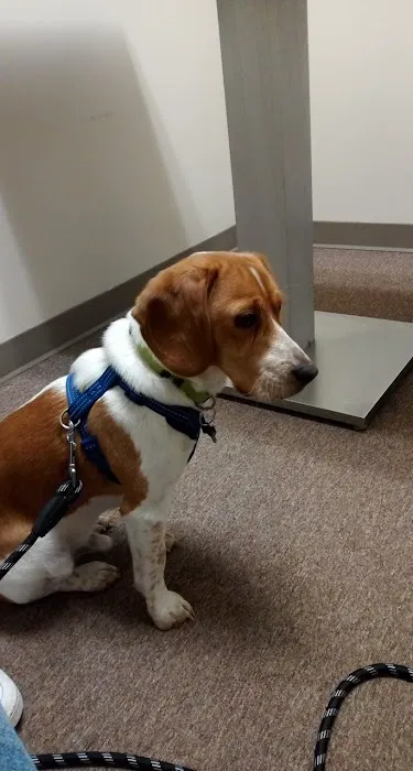 Noblesville Veterinary Clinic - Dr. Tim Fleck 12
