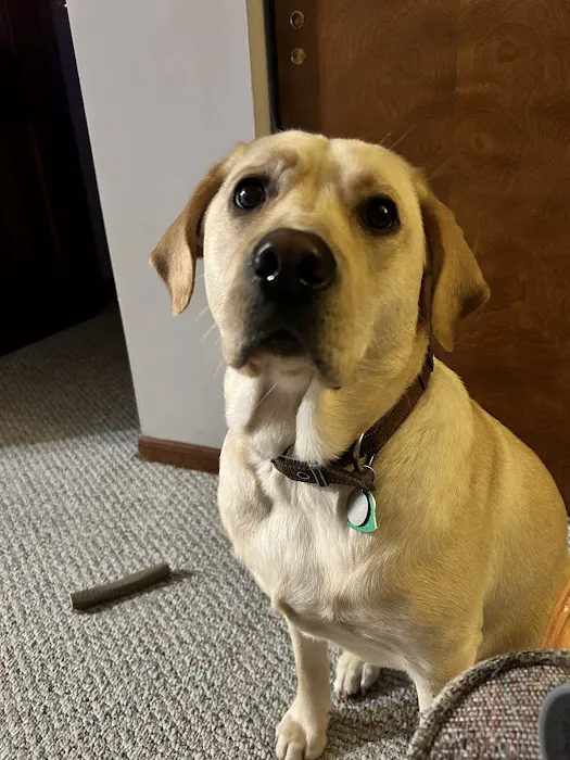 Covenant Animal Clinic - Centerville 2