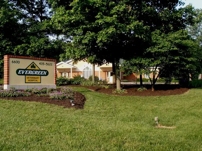 Evergreen Veterinary Hospital 1