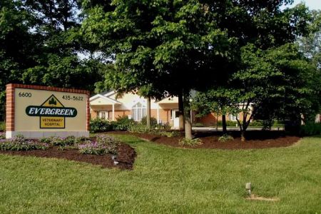 Evergreen Veterinary Hospital