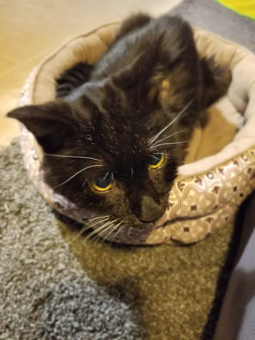Evergreen Veterinary Hospital 7