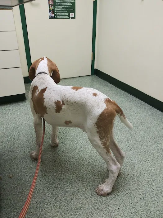 Evergreen Veterinary Hospital 9