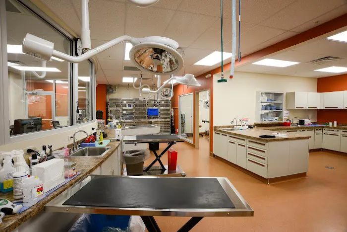 Bigger Road Veterinary Clinic 12