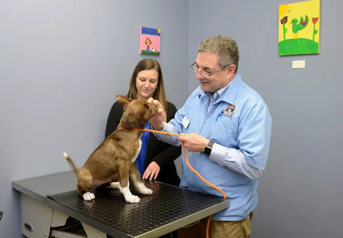 Bigger Road Veterinary Clinic 12