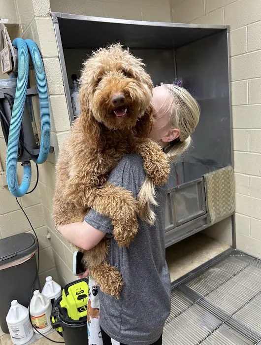 Alex-Bell Veterinary Clinic and Exclusively Posh Pets 12