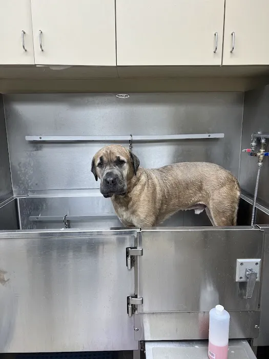 Alex-Bell Veterinary Clinic and Exclusively Posh Pets 12