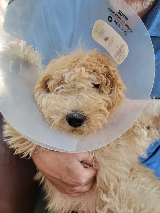 Banfield Pet Hospital 12