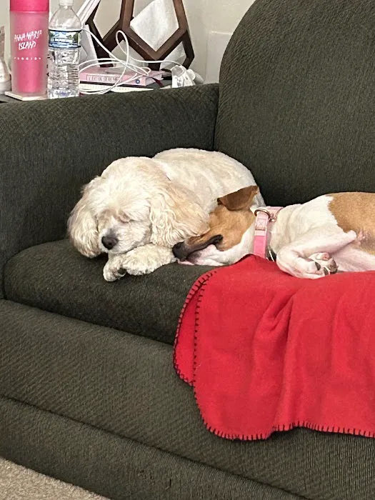 Banfield Pet Hospital 12