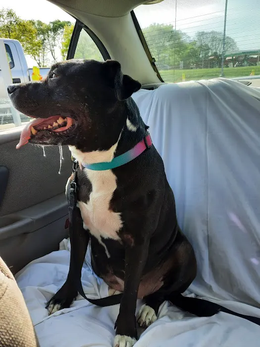 Banfield Pet Hospital 12