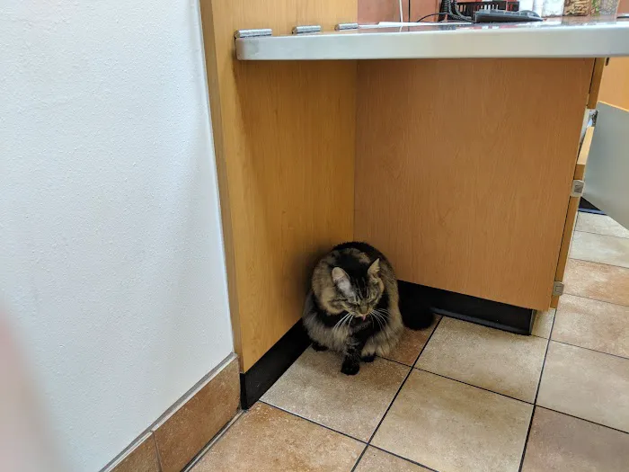 Banfield Pet Hospital 12