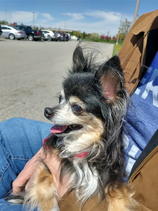 Banfield Pet Hospital 12