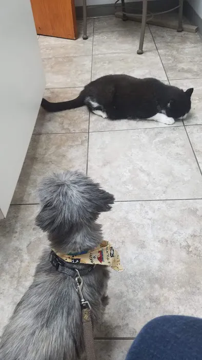 Dr. Sue's Animal Clinic 8