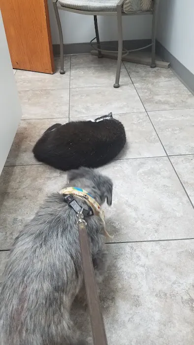 Dr. Sue's Animal Clinic 9