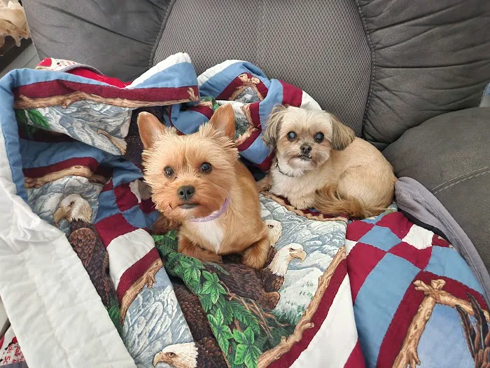 Banfield Pet Hospital 12