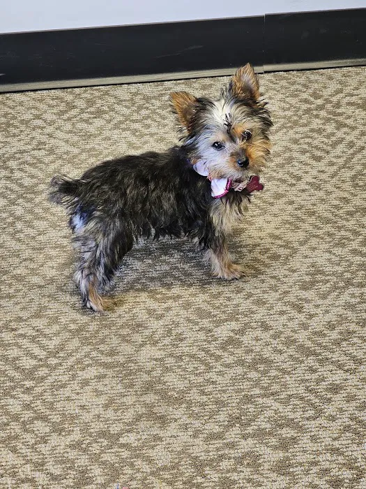 Banfield Pet Hospital 12
